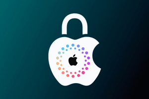 ⭐️ Remove Bad Cases From GSX (Not iCloud Remove) - 1 Case (1 - 3 Days)⚡